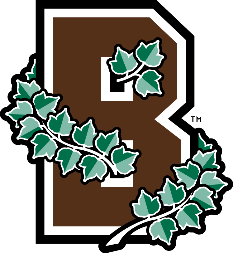 Brown Bears 2003-Pres Alternate Logo DIY iron on transfer (heat transfer)